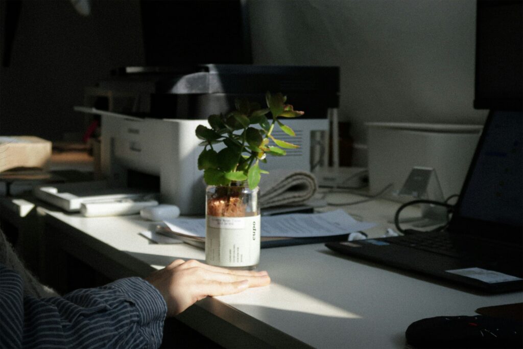 Working environment with a plant.